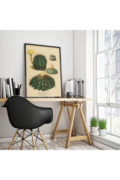 Pegziz Kaktüs Bitkisi Vintage Sanatsal Poster 50x70cm. ürün görseli 1