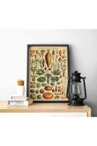 Pegziz Sebze Çeşitleri Vintage Sanatsal Poster 50x70cm. ürün görseli 1