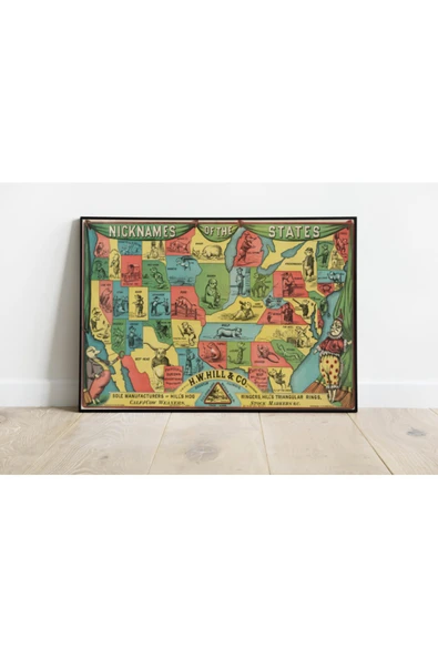 Pegziz Amerika Haritası Sanatsal Duvar Dekorasyon Poster 60x90cm. ürün görseli 1