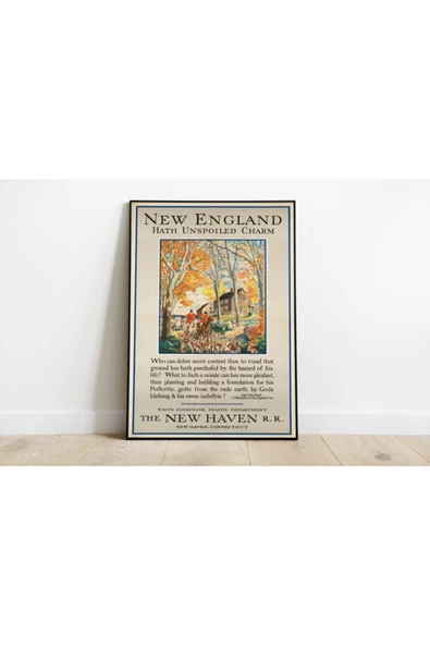 Pegziz Amerika Vintage Sanatsal Poster 60x90cm. ürün görseli 1