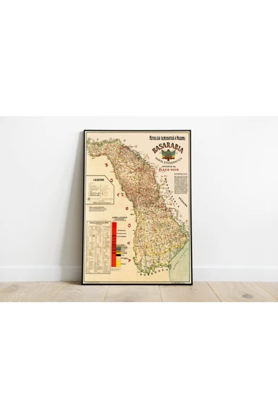 Pegziz Moldovya Haritası Sanatsal Duvar Dekorasyon Poster 60x90cm. ürün görseli 1