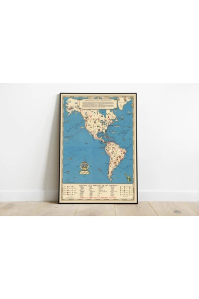 Pegziz Amerika Kıtası Haritası Sanatsal Duvar Dekorasyon Poster 60x90cm. ürün görseli 1