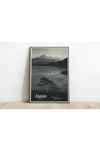Pegziz Japonya Vintage Sanatsal Poster 60x90cm. ürün görseli 1