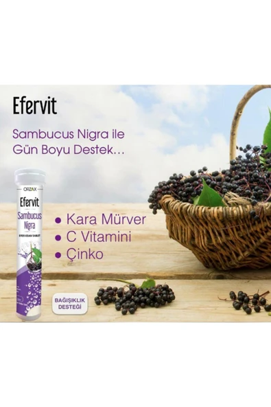 Efervit Sambucus Nigra, Kara Mürver - Resim 2