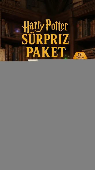 Harry Potter Sürpriz Figür Koleksiyonu Kutu Oyuncak ürün görseli 1