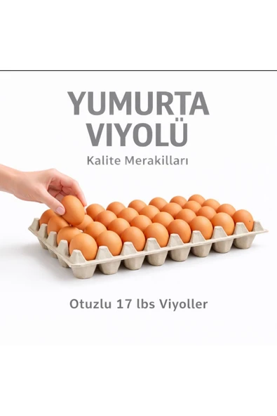 Kalite Meraklıları (629 Adet)30'lu Karton Yumurta Viyolü (629 Adet 17lbs)- Viyol Toptan Premium Kalite Yumurta Kutusu ürün görseli 1
