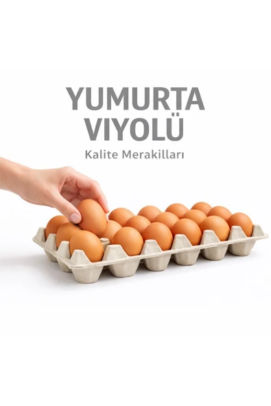 Kalite Meraklıları (586 Adet)30'lu Karton Yumurta Viyolü (586 Adet 17lbs)- Viyol Toptan Premium Kalite Yumurta Kutusu ürün görseli 1