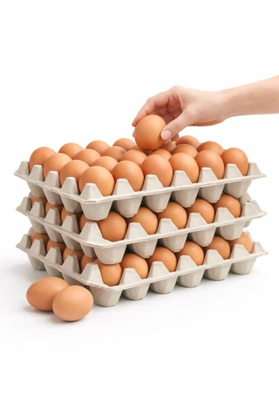 Kalite Meraklıları (438 Adet)30'lu Karton Yumurta Viyolü (438 Adet 17lbs)- Viyol Toptan Premium Kalite Yumurta Kutusu ürün görseli 1