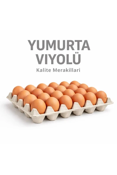 Kalite Meraklıları (491 Adet)30'lu Karton Yumurta Viyolü (491 Adet 17lbs)- Viyol Toptan Premium Kalite Yumurta Kutusu ürün görseli 1