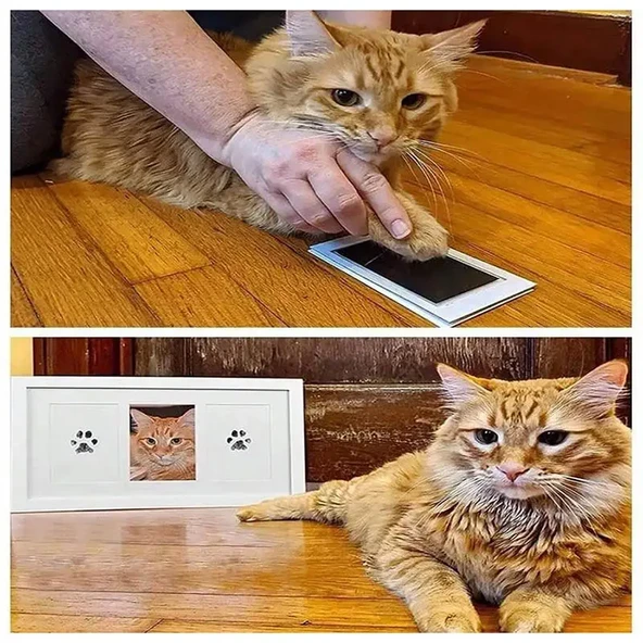 Kedi Köpek Pati İzi Fotoğraf Çerçevesi Seti ürün görseli 1