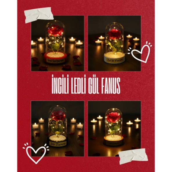 İncili Ledli Gül Fanus ürün görseli 1