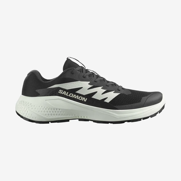 Salomon Alphaglıde Erkek Ayakkabı L47801000 ürün görseli 1