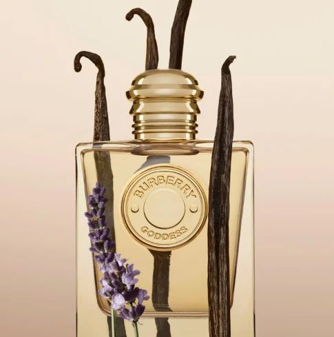 Burberry Goddess - Eau de Parfum - Resim 2