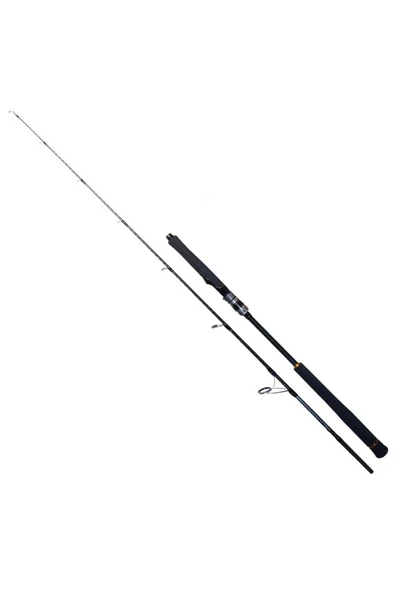 RYUJI SEAWOLF 1.98M 30-150GR 2P JIG KAMIŞ ürün görseli 1