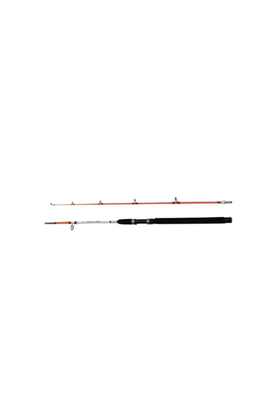 BAUER Crystal 1.65m 100-200g Tekne Kamışı - Resim 2