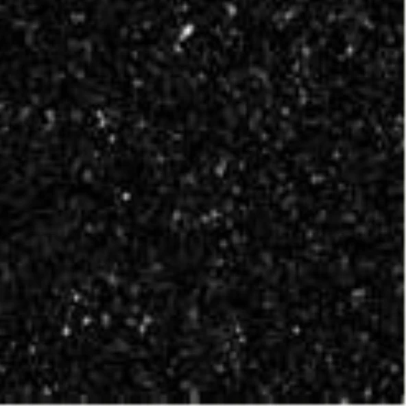 Empero EMP.BSS.40.GT Granit Tabla (standart Granit-star Galaxy) ürün görseli 1