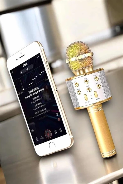 Şarjlı ve Uzun Pil Ömürlü Karaoke Mikrofon USB Bellek Destekli, Profesyonel Ses ürün görseli 1