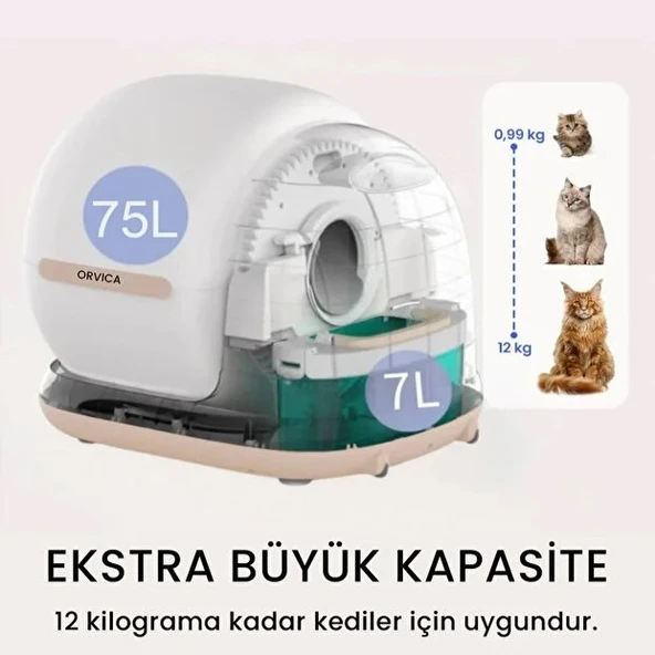 HD Kameralı Akıllı Kedi Tuvaleti - Resim 5