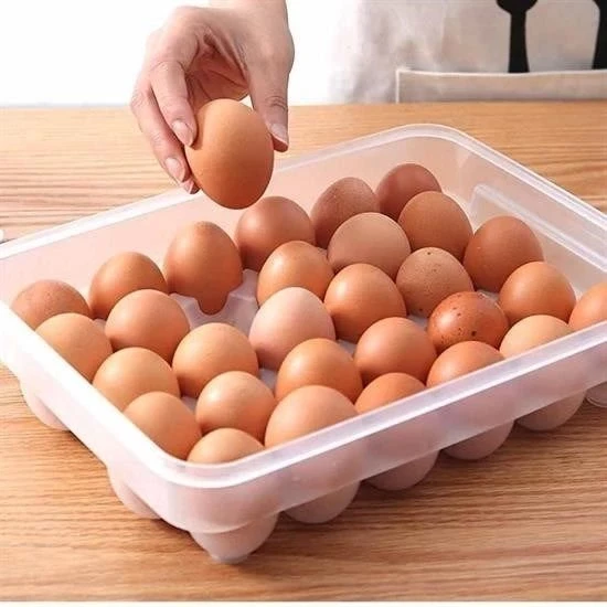 30lu Yumurta Saklama Kabı - Resim 5