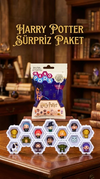 Harry Potter Koleksiyon Sürpriz Figür Seti Ünlü Karakterler ürün görseli 1