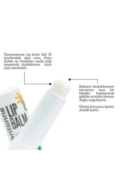 DEXPANTONNE DEXPANTONNE Lip Balm 15 Spf - Resim 2