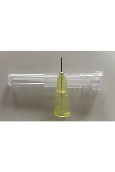 Iğne Ucu 30g 6mm 250 Adet ürün görseli 1