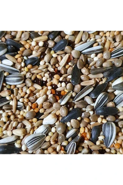 VİVİD Papağan Yemi 1kg AÇIK YEM ürün görseli 1