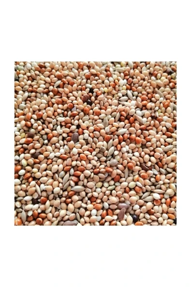VİVİD BİRD Muhabbet Kuşları Için Yem 1 Kg Kaliteli Yeni Mahsül ürün görseli 1