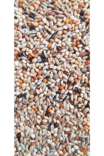 COVEY Vivid %50 Aspurlu Muhabbet-papağan Yemi 1kg ürün görseli 1