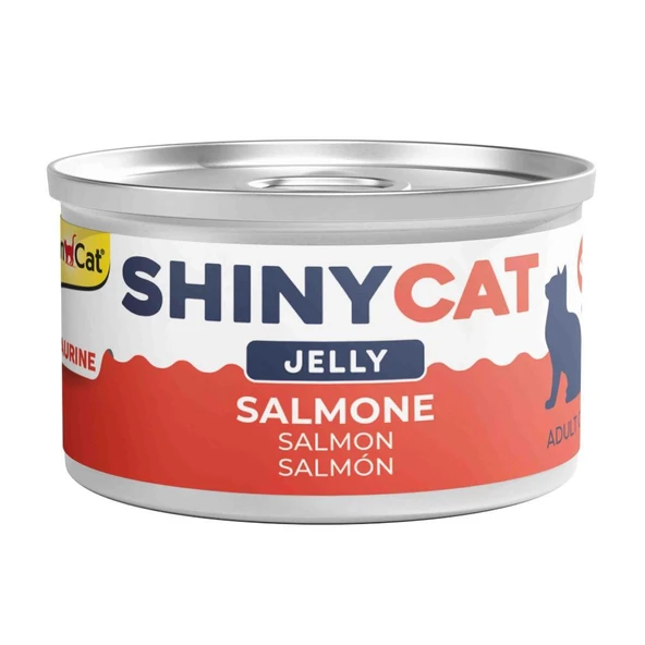 Gimcat Shinycat Jelly Somonlu Kedi Konservesi 70 Gr ürün görseli 1