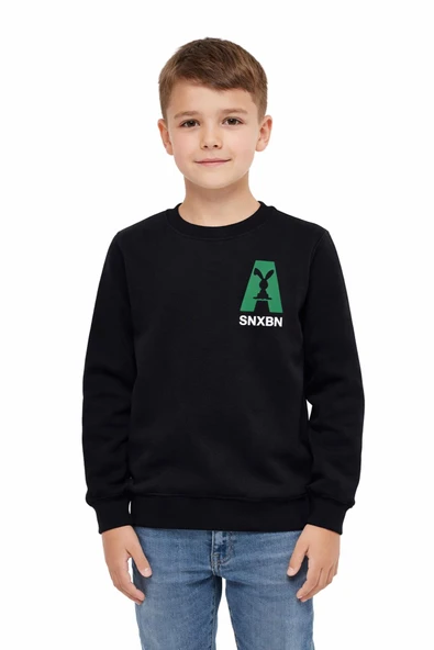 Erkek Çocuk Önü Baskılı Sweatshirt BGL-ST05234 ürün görseli 1