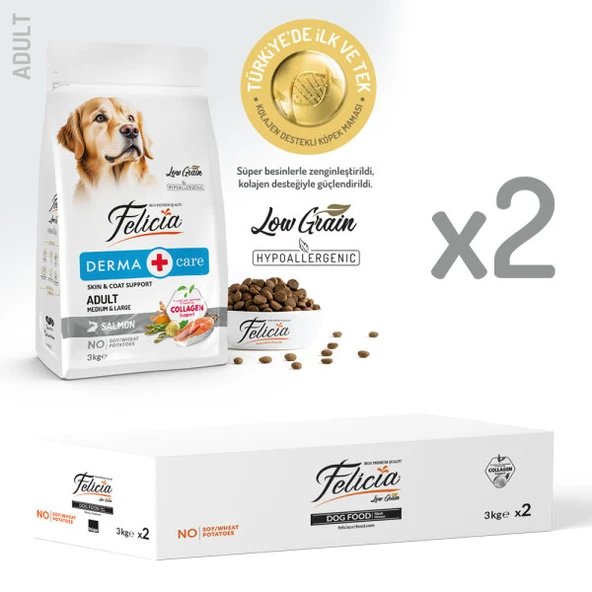 Felicia Derma Care Somonlu Orta ve Büyük Irk Yetişkin Köpek Maması 6Kg ürün görseli 1