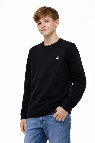 Erkek Çocuk Sweatshirt BGL-ST05228 - Resim 3