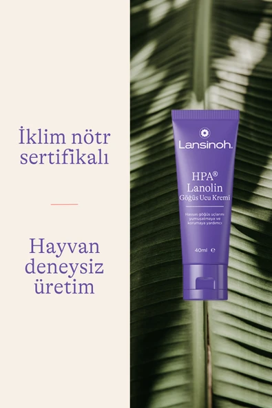 Lansinoh Göğüs Ucu Kremi 40 ml - Resim 6