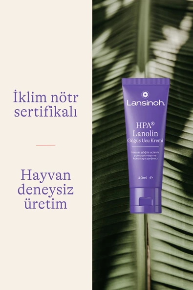 Lansinoh Lanolin Göğüs Ucu Kremi 40 ml - Resim 7