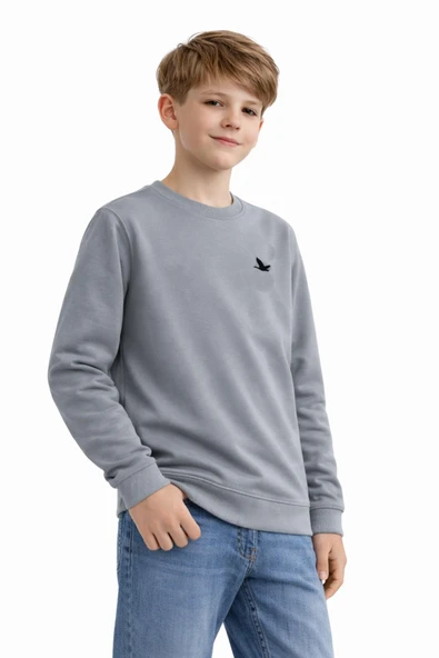 Erkek Çocuk Sweatshirt BGL-ST05228 - Resim 11