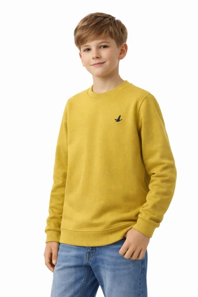 Erkek Çocuk Sweatshirt BGL-ST05228 - Resim 2