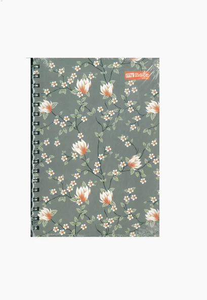 MYNOTE Planlayıcı 17x24 sert kapak spiralli 100 Sayfa Gri ürün görseli 1