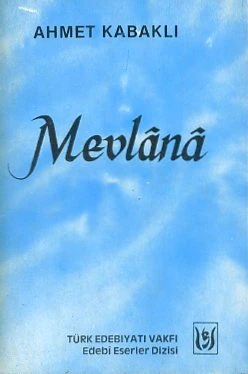 Mevlana ürün görseli 1