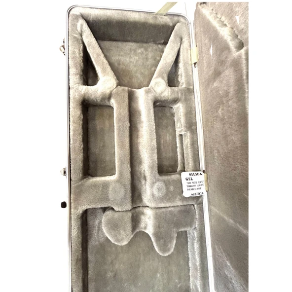 AXL ELEKTRO GİTAR HARD CASE - Resim 5