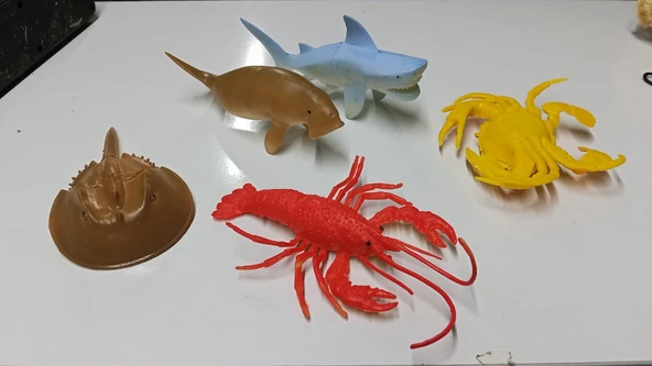 Plastik Deniz Hayvanları Fok ve Köpek Balığı Yengeç Istakoz At Nalı 5 Parça ürün görseli 1