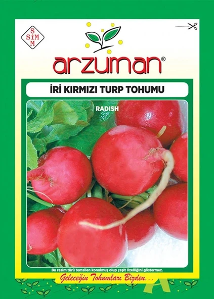 İri Kirmizi Turp Tohumu 25 Gr ürün görseli 1