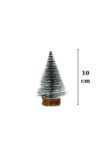 Mini Çam Ağacı - Resim 2