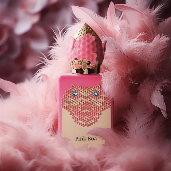 Stephane Humbert Lucas Pink Boa - Resim 4