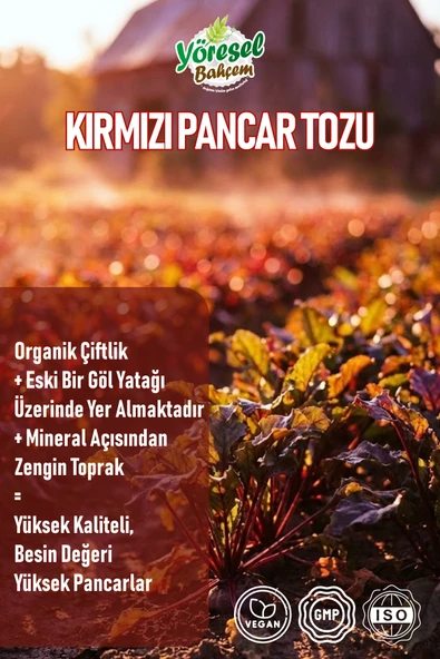 Yöresel Bahçem Kırmızı Pancar Tozu - Resim 3