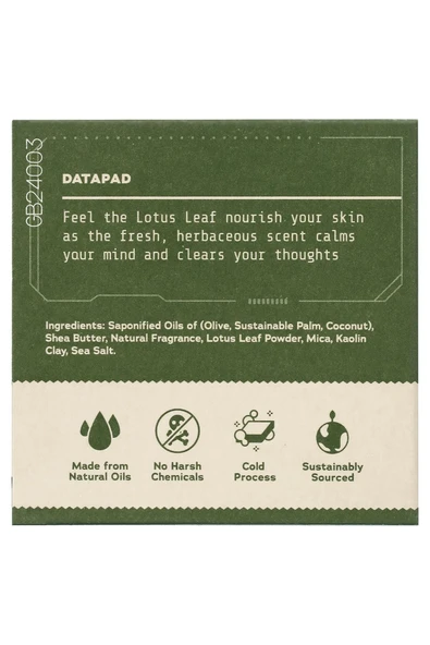 Dr.Squatch Wisdom Wash Erkek Sabunu 141GR - Resim 3