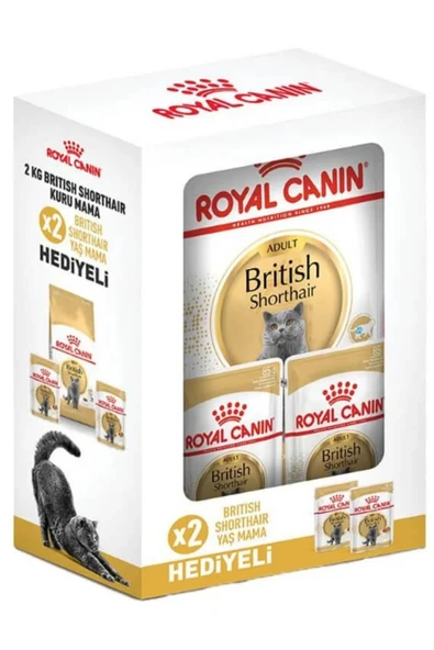 Royal Canin Mini Adult Bundle Küçük Irk Yetişkin Köpek Maması 2 Kg ürün görseli 1