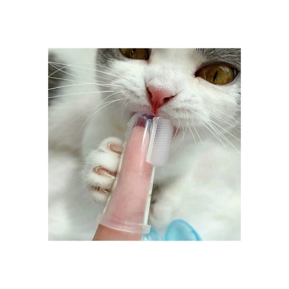 Kedi Köpek Diş Temizleme Fırçası ürün görseli 1