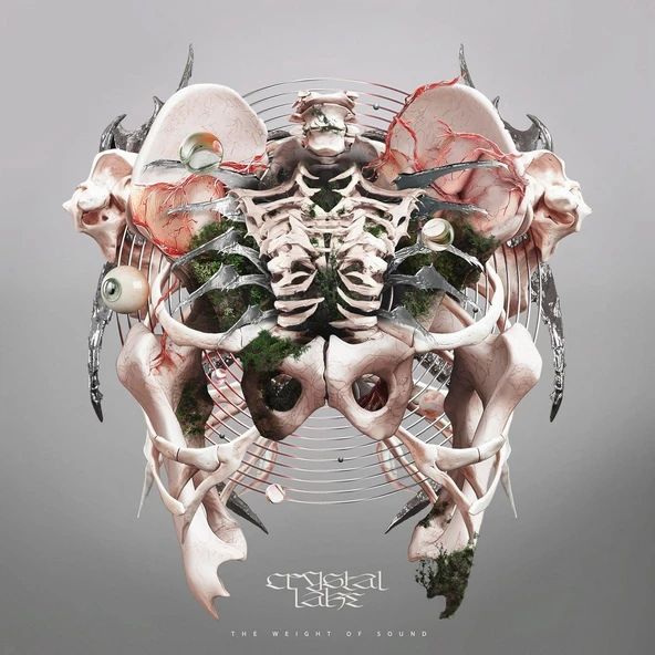 Crystal Lake The Weight Of Sound (Grey Vinyl) - Plak ürün görseli 1