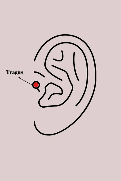 Zarif Kadın için Silver Çelik Zirkonlu Tragus Piercing ürün görseli 1